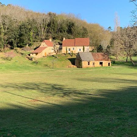 Gite Chez Le Gaulois Carsac-Aillac Εξωτερικό φωτογραφία