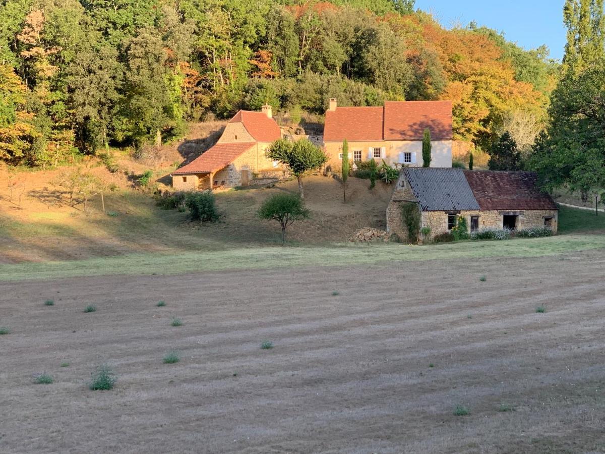 Gite Chez Le Gaulois Carsac-Aillac Εξωτερικό φωτογραφία